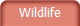Wildlife